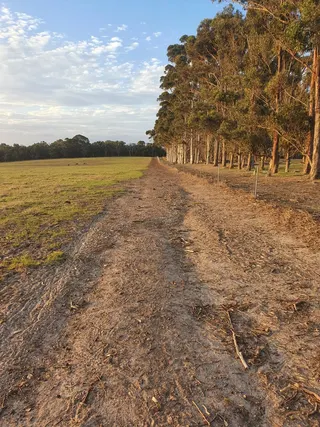 Completed firebreak beside a fence line