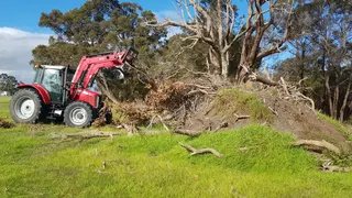 Tractor clearing branches on a property